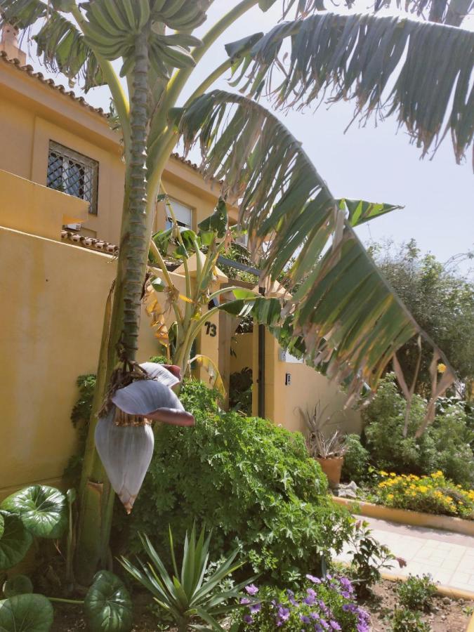 Dudi'S Peppers Apartment Malaga Exterior photo