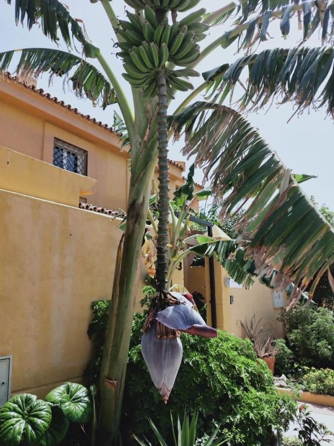 Dudi'S Peppers Apartment Malaga Exterior photo
